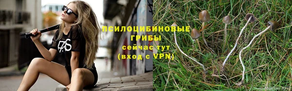 мескалин Горняк