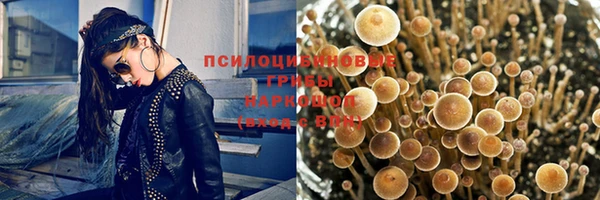 мескалин Горняк
